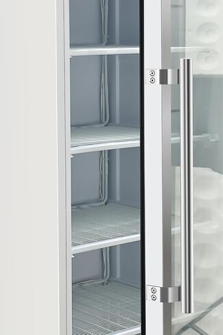 KoolMore KM-FMD12WGD 12 Cu. ft. Commercial Freezer with Glass Door in White-Manual Defrost in Saudi Arabia