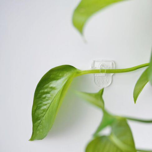 100 Mini Clear Light Clips with 120 Adhesive Strips, Damage-Free Indoor Mini Wall Hooks for Hanging, Removable Clips for Decoration in Saudi Arabia