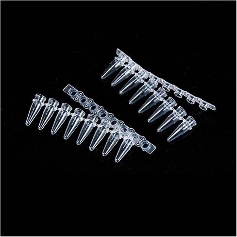 قم بتشغيل Ken 0.1ml/0.2ml 8 Strip PCR Tube Tube Tube Tube Tube Fluorescn in Kuwait