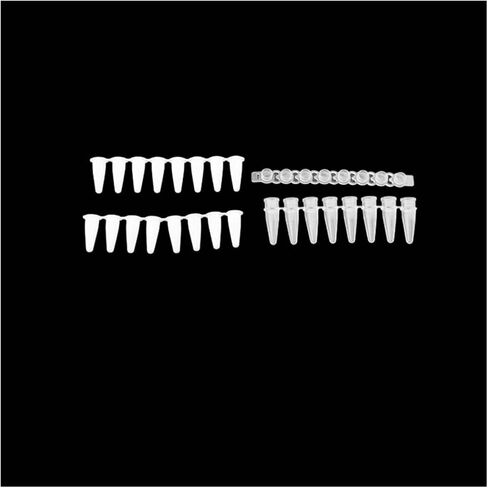 قم بتشغيل Ken 0.1ml/0.2ml 8 Strip PCR Tube Tube Tube Tube Tube Fluorescn in Kuwait