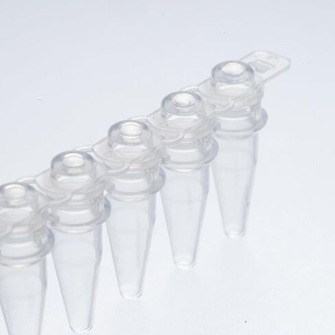 أنابيب PCR 0.2 مل من 8 ، أنابيب PCR صافية مع أغطية مقببة ، أنابيب تفاعل PCR رقيقة فائقة ، أنبوب البولي بروبيلين microcentrifuge PCR ، DNase/RNase خالية ، 125 مجموعة/حزمة in Saudi Arabia