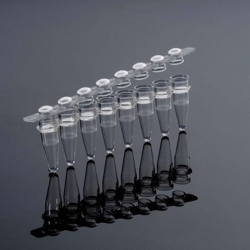 أنابيب PCR 0.2 مل من 8 ، أنابيب PCR صافية مع أغطية مقببة ، أنابيب تفاعل PCR رقيقة فائقة ، أنبوب البولي بروبيلين microcentrifuge PCR ، DNase/RNase خالية ، 125 مجموعة/حزمة in Saudi Arabia