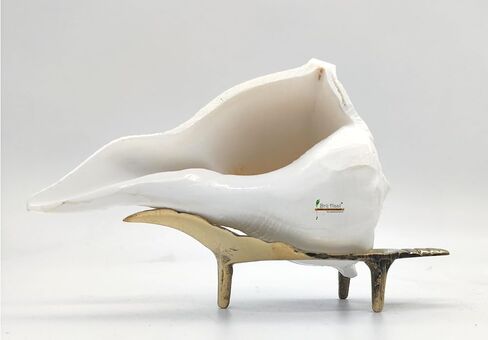 Dakshinavarti Right Handed Conch Shell, Valampuri Shankh for Hindu Puja, Religious Worship (Non-Blowing) (3 Inch) in Saudi Arabia