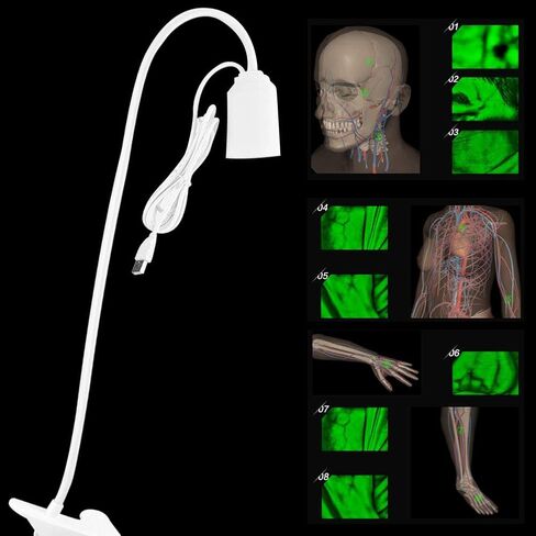 مكتشف الوريد لاستئصال الفلبيوت - مشاهد الأشعة تحت الحمراء Transilluminator ، آلة العرض ، أداة مع تصوير الأضواء للبالغين والطفل in Kuwait