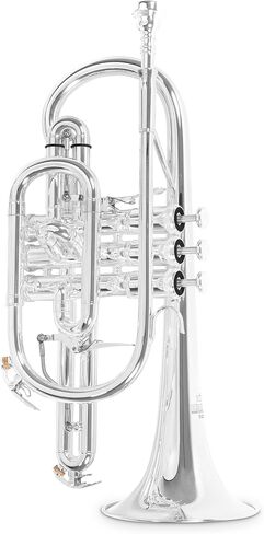 Roy Benson Bb Cornett MOD.CR-302S plated finish, incl. light rectangular case, Yellow,Gold,Silver (RB701094) in Saudi Arabia