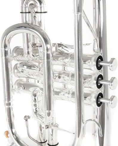 Roy Benson Bb Cornett MOD.CR-302S plated finish, incl. light rectangular case, Yellow,Gold,Silver (RB701094) in Saudi Arabia