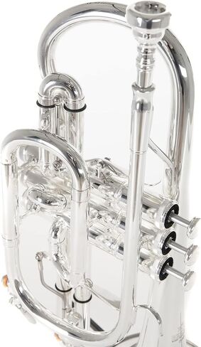 Roy Benson Bb Cornett MOD.CR-302S plated finish, incl. light rectangular case, Yellow,Gold,Silver (RB701094) in Saudi Arabia