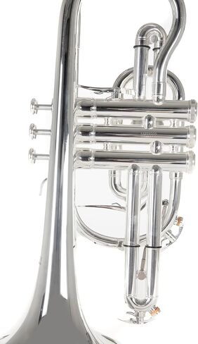 Roy Benson Bb Cornett MOD.CR-302S plated finish, incl. light rectangular case, Yellow,Gold,Silver (RB701094) in Saudi Arabia