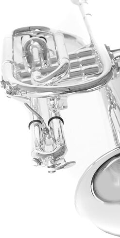 Roy Benson Bb Cornett MOD.CR-302S plated finish, incl. light rectangular case, Yellow,Gold,Silver (RB701094) in Saudi Arabia