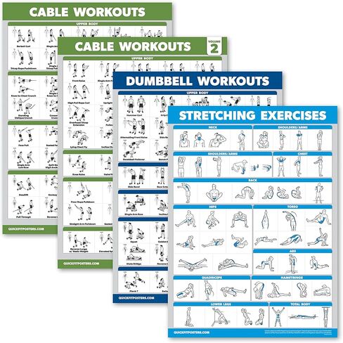 4 Pack - Cable Machine Workout Posters Volume 1 & 2 + Dumbbell Exercises + Stretching Exercises (LAMINATED, 18" x 24") in Kuwait