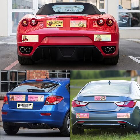 10 Pcs Funny Bumper Stickers Car Magnets, Quirky Cartoon Cute Animal Humorous Sayings Design Magnetic Decals for Auto Bumpers, Fun New Driver Car Owner Gifts in Saudi Arabia