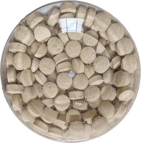 مسحوق Tienchi النقي Pseudoginseng Notoginseng Sanqi مسحوق ، 300 جرام (10.6 أوقية) in Kuwait