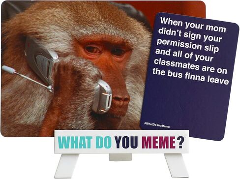 WHAT DO YOU MEME? Trisha Paytas Expansion Pack by Relatable, Card Games for Adults, Featuring YouTube Influencer Trisha Paytas, All New Meme Game Content, Includes 15 Image Cards and 10 Caption Cards in Kuwait