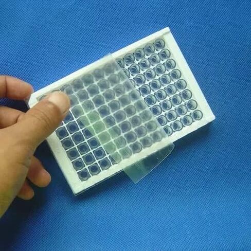 KIESEV PCR Sealing Film - 96 Well Plate Sealing Film - Transparent Self-Adhesive 130 x 80mm(Pack of 100 Sheet) (Transparent) in Kuwait
