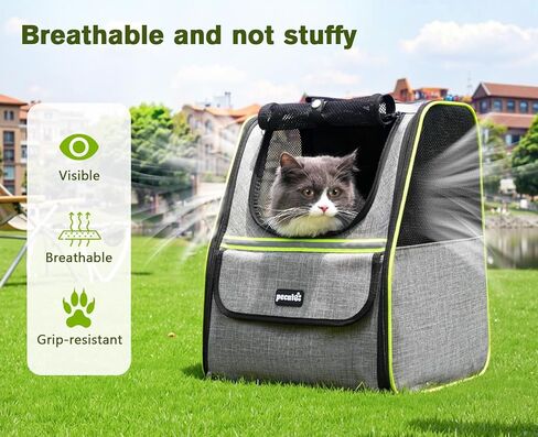 Pecute Cat Backpack Carrier, Small Dog Backpack Carrier, Pet Backpack Carrier for Cats Dogs Puppy Kitten, Cat Carrier Bag Carrying for Travel Hiking Bike Riding Walking Outdoor,Black in Saudi Arabia
