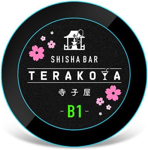Custom Glass GOBO for LED Projector Light – Multicolor Logo Design, Personalized Replacement Lens for GOBO Projection Light (Double Color) in Saudi Arabia