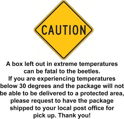 Death Death Feiging Beetle (4 لكل منهما) وسلس الموت الذي يتخلى عن الخنفساء (4 لكل منهما) حزمة التحرير والسرد - 8 Beetles - Beetles Ironclad Live - المرح والتعليمي وسهل العناية به in Kuwait