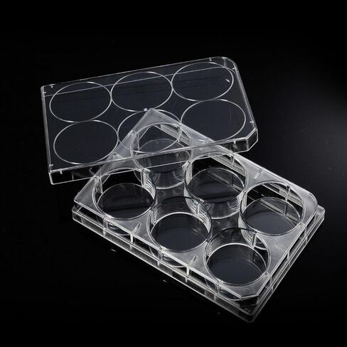 Cell Culture Plates, 12-Well, 1Pcs in Saudi Arabia