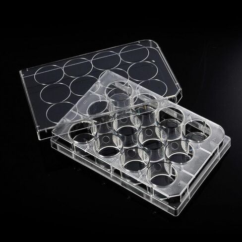 Cell Culture Plates, 12-Well, 1Pcs in Saudi Arabia