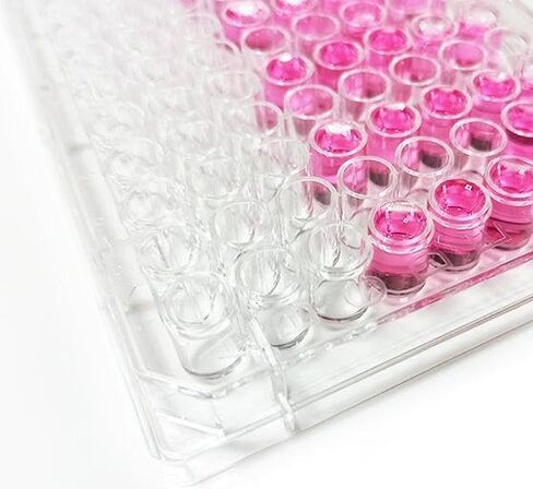 Polystyrene Cell Culture Plate, TC Treated, Flat Bottom, 48-Well, 24Pcs in Saudi Arabia