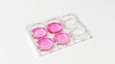 Polystyrene Cell Culture Plate, TC Treated, Flat Bottom, 48-Well, 24Pcs in Saudi Arabia