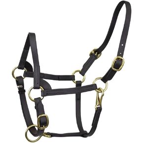 Tahoe Tack Safety Breakaway Flex Webb Mini Horse Halter