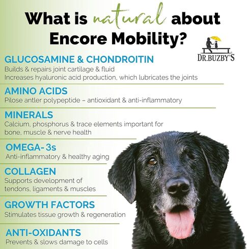 Dr. Buzby’s Encore Mobility Hip & Joint Supplement for Senior Dogs, 90 Chewable Tablets, Natural New Zealand Deer Velvet and Green Lipped Mussel, Pet Pain Relief in Saudi Arabia