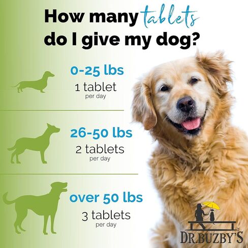 Dr. Buzby’s Encore Mobility Hip & Joint Supplement for Senior Dogs, 90 Chewable Tablets, Natural New Zealand Deer Velvet and Green Lipped Mussel, Pet Pain Relief in Saudi Arabia