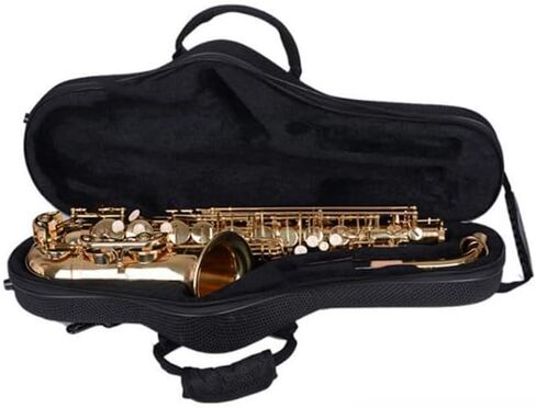 ALTO Saxophone Case Accessories Saxophone Accessories Blue Lightweight Strap Strong Hard Protect Alto Sax Case in Saudi Arabia