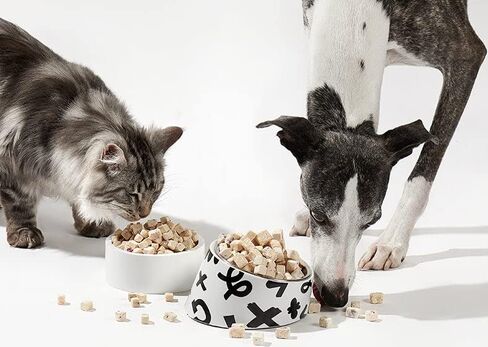 Freeze-Dried Single Ingredient Dog Treats (Egg Yolk 10oz) in Kuwait