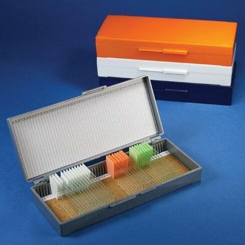 Globe Scientific 513077AST ABS Blastic Slide Scorgion Fox لـ 50 شريحة ، تصطف الفلين ، متنوع in Saudi Arabia