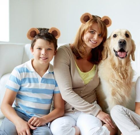 4 Count Movable Brown Bear Ears Headband With Adjustable Ears, Bear Ear Hairband for Makeup Face Washing, Fluffy Bear Headband Bear Costume Adult Women in Saudi Arabia