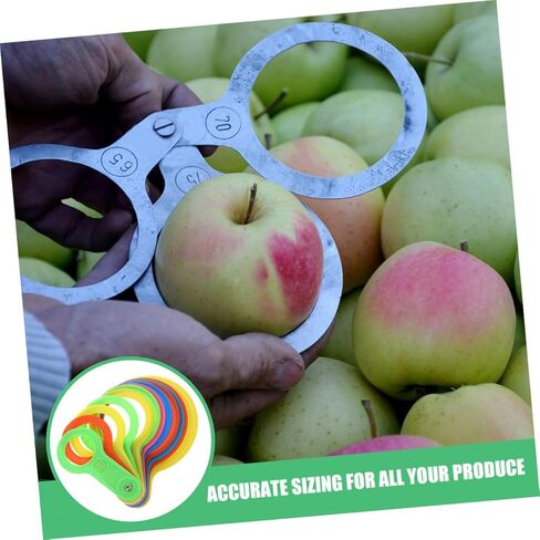 Pretyzoom 2pcs قطر الفاكهة القياس أداة قياس الحمضيات لقياس الدقة لاتفاقية الحجم in Kuwait