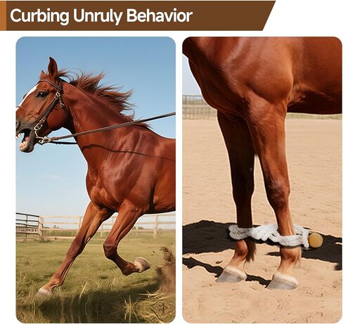 Horse Hobbles, 27" Soft Nylon-Blend Hobbles for Foal or Pony, Adjustable Hobble for Horses, 2-Leg Hobbles for Horses to Control Kicking, Running in Kuwait