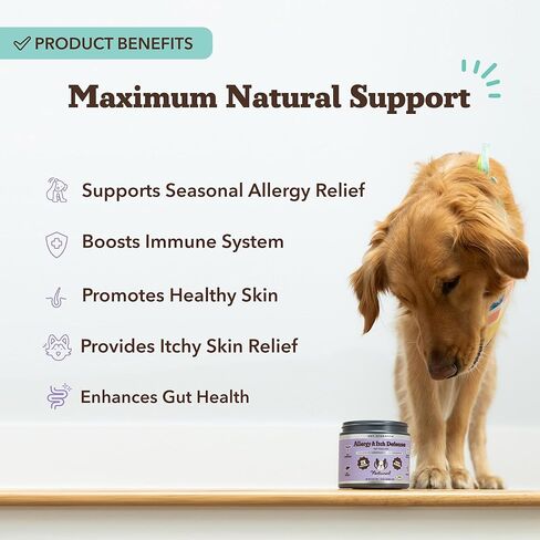 شركة Natural Dog Company Aller-Immune Chews (90 قطعة) ، نكهة الديك الرومي ، بروبيوتيك خاص بالكلاب ، مكمل مناعة الحساسية للكلاب ، يعزز الجهاز المناعي ، مضادات الأكسدة ، حكة في الحكة للكلاب in Kuwait