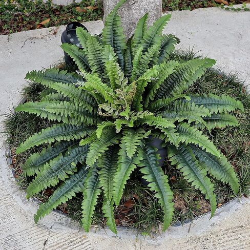 45" Fake Ferns Artificial Plants Large, 63 Fronds Artificial Ferns for Outdoors and Indoors, Faux Fern Greenery Suitable for Planter Hanging Garden Porch Office Decor in Saudi Arabia
