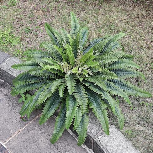 45" Fake Ferns Artificial Plants Large, 63 Fronds Artificial Ferns for Outdoors and Indoors, Faux Fern Greenery Suitable for Planter Hanging Garden Porch Office Decor in Saudi Arabia