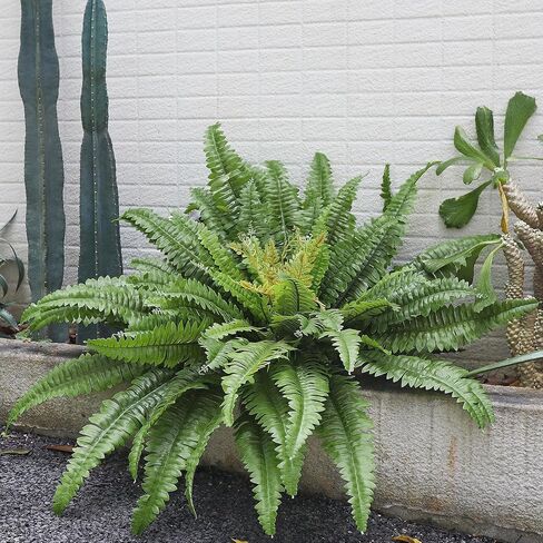 45" Fake Ferns Artificial Plants Large, 63 Fronds Artificial Ferns for Outdoors and Indoors, Faux Fern Greenery Suitable for Planter Hanging Garden Porch Office Decor in Saudi Arabia