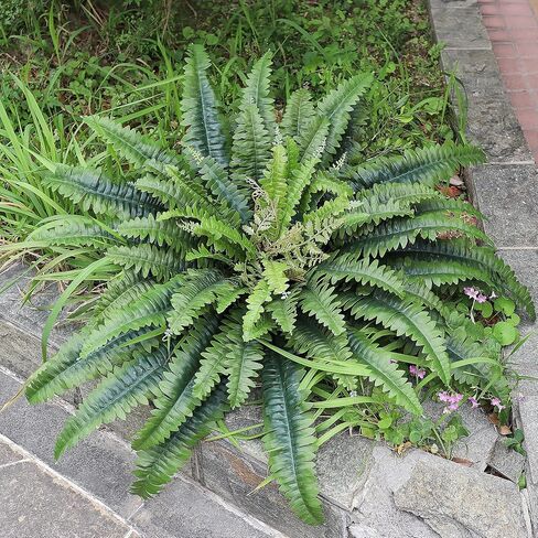 45" Fake Ferns Artificial Plants Large, 63 Fronds Artificial Ferns for Outdoors and Indoors, Faux Fern Greenery Suitable for Planter Hanging Garden Porch Office Decor in Saudi Arabia