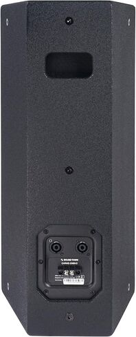 Sound Town Carme Series مزدوج 8 بوصات من مكبرات الصوت المهنية السلبية ، الأسود مع سائق الضغط ، خشب البتولا ، شريحة U للتركيب ، الصوت المباشر ، الكاريوكي ، البار ، الكنيسة (Carme-U208b) in Kuwait