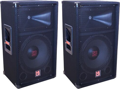 2 MR DJ PSS-1200 Single 12 "السلبي 1200 واط ثنائي الاتجاه DJ/PA Pro الصوت الصوتي in Kuwait