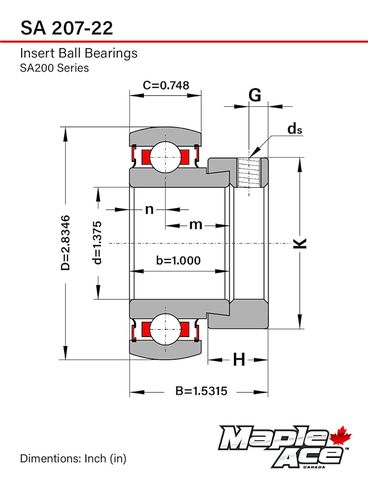 MAPLE ACE SA207-22 Insert Bearing 1-3/8" Bore, Spherical OD with Eccentric Locking Collar and Lubrication Hole in Saudi Arabia