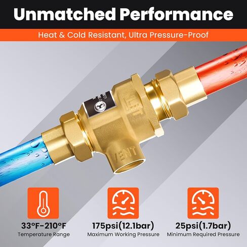 1/2 "9D-M3 Backflow Prefter ، صمام فحص مزدوج نحاس مع تنفيس في الغلاف الجوي الوسيط ، 1/2 بوصة صمام مانع التدفق الإناث ، 190T012 ، استبدال واتس in Kuwait