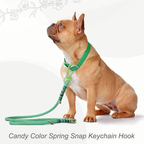uxcell Spring Snap Clip, Spring Snap Key Chain Hook with O Ring, Multipurpose Candy Color Quick Link Keychain Clips Buckle in Saudi Arabia