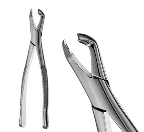 SURGICAL ONLINE Dental Extracting Forceps - Dental Surgical Instruments # 222 in Saudi Arabia