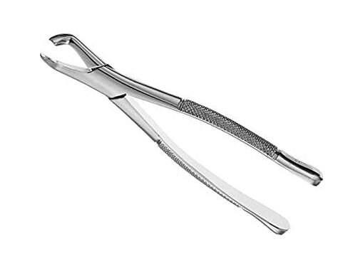 SURGICAL ONLINE Dental Extracting Forceps - Dental Surgical Instruments # 222 in Saudi Arabia