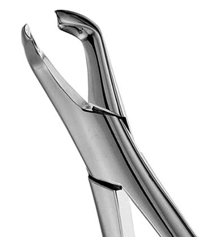 SURGICAL ONLINE Dental Extracting Forceps - Dental Surgical Instruments # 222 in Saudi Arabia