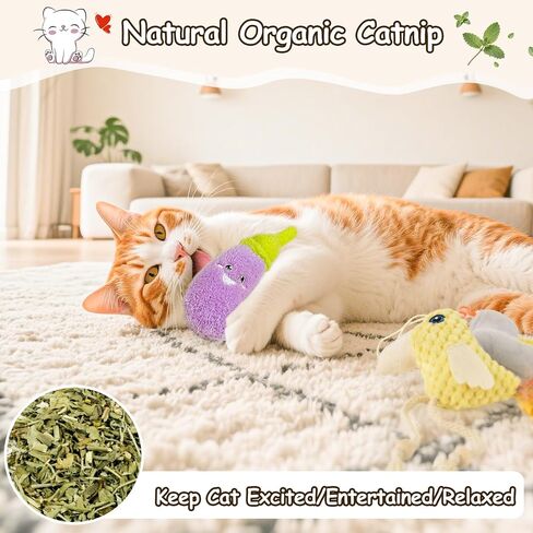 مجموعات ألعاب Cat Orsda ، 5 عبوات ، صوتية Catnip Crinkle ، كيكر هريرة تفاعلي لألعاب تمرينات كيتي داخلية ، طائر ناعم ودائم لجميع السلالات in Kuwait