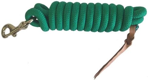 Cowboy Nylon Horse Lead Rope with Leather Popper 10' x 5/8" Turquoise in Saudi Arabia