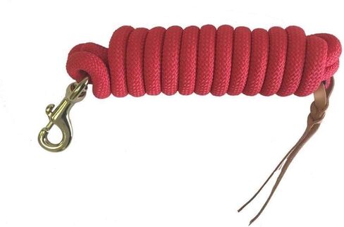 Cowboy Nylon Horse Lead Rope with Leather Popper 10' x 5/8" Turquoise in Saudi Arabia